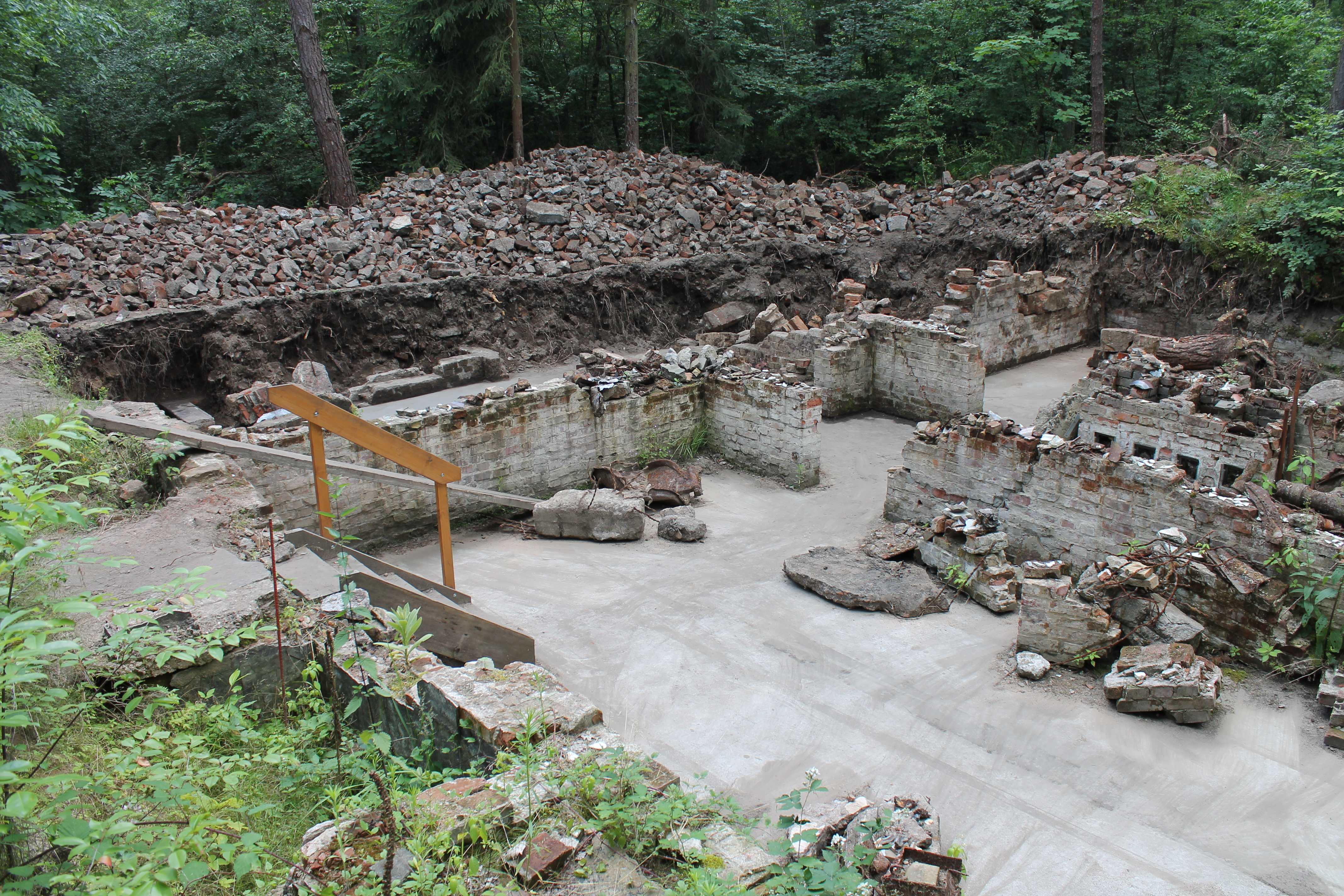 Die Ausgrabungsfläche, die nun eingehaust werden soll. Foto: Juni 2013, aufgenommen nach Ausgrabungsarbeiten mit drei Oberstufenkursen umliegender Schulen.