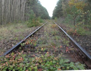 Die Eisenbahnschienen, die nach Sobibór führen.