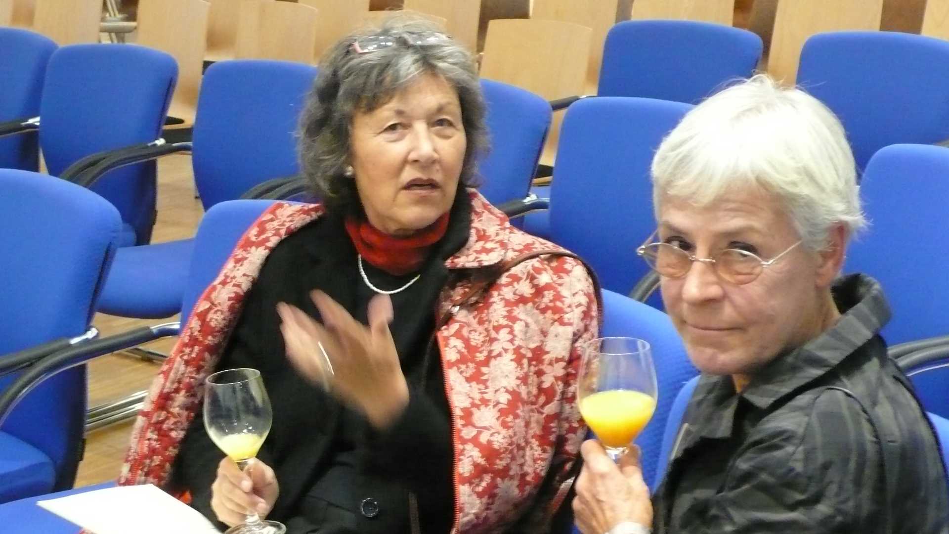 Seit Jahren engagieren sich Birgit Schüller und Helga Glanz mit Leib und Seele für die Aufarbeitung der KZ-Außenstellen-Geschichte und die Margit-Horváth-Stiftung.