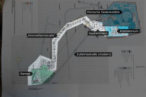 Der Lageplan, den die Archäologen auf der Grundlage ihrer Ausgrabungen erstellten. 